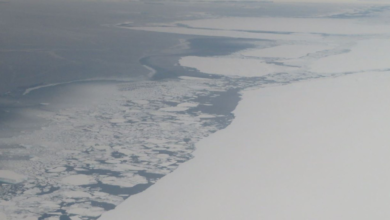 World has lost battle to stop glaciers melting and sea level rising, says UN meteorological chief 1 image 13