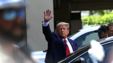 Donald Trump pleads not guilty to classified documents charges 8 image 33
