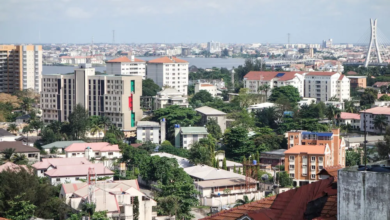 It’s provocative to say Lagos is no man’s land — Pro-democracy campaigners 14 image 38