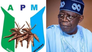 APM to continue case against Tinubu despite court ruling 4 image 58