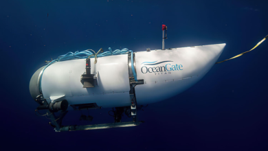 EXPLAINER: What is submersible tourism? 3 image 81