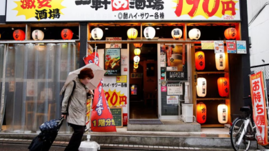 Japan's inflation stays above BOJ target, key gauge hits 42-year high 8 image 87
