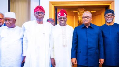 Tinubu ready to take up gauntlet on African issues, says presidency 8 IMG 20230701 WA0037