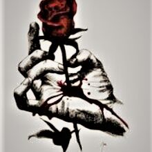 In the Name of Love