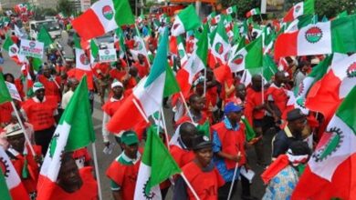 NLC/TUC cannot be a law unto themselves, By Nelson Ekujumi 5 d9c623d3 nigeria labour congress nlc