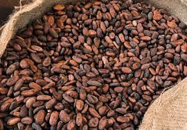 US removes export duties on Nigerian cocoa, other products to boost economy 7 image 7
