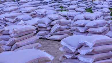 Osun begins palliative distribution in 10 local governments 4 2347035892848 status 27b0bab05dae458ebcf44d152a16b460