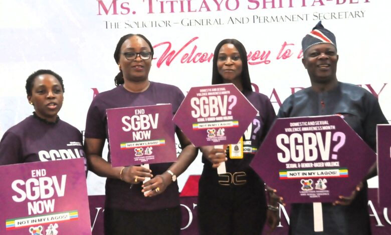 2588 children sexually, emotionally abused in Lagos in 12 Months, says DSVA 1 IMG 20230831 WA0030