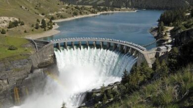 Lagdo Dam: Humanitarian minister leads FG's committee to proffer solution to flooding 20 images 15