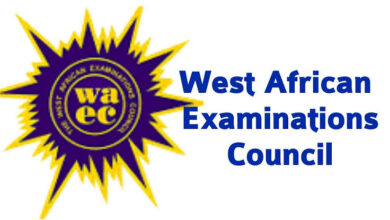 Osun will return to WAEC top 10 ranking before end of my first tenure - Adeleke 5 images 24