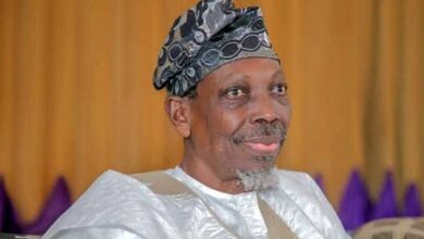 Handling Niger’s coup imbroglio, manifestation of Tinubu’s boldness — Prof. Abubakre 10 images 7