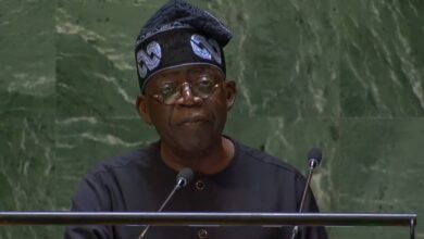 Home and abroad, Tinubu’s Nigeria is taking its rightful place, By Mohammed Idris 1 IMG 20230920 WA0000