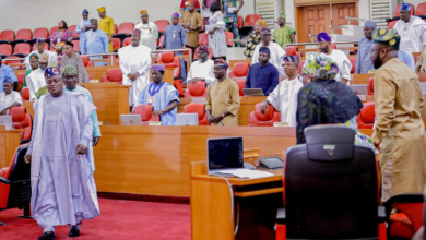Lagos Lawmakers celebrate Nigeria's First Lady at 63 1 Screenshot 20230921 200337