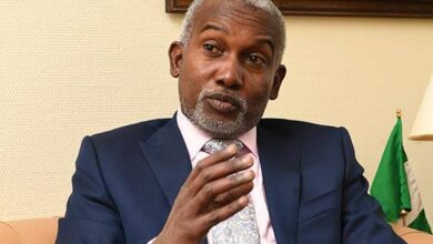 Why African-leader, Nigeria, deserves G-20 membership - Tuggar 10 images 43