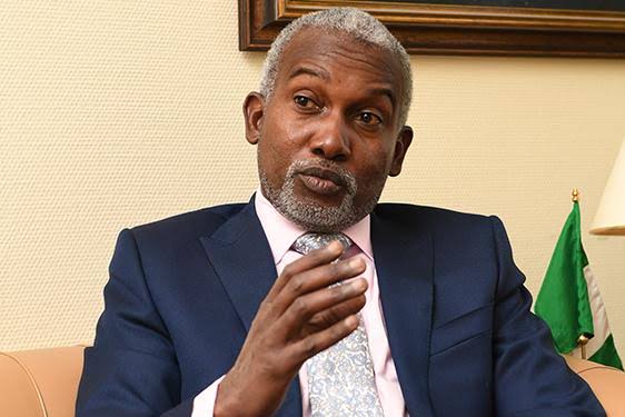 Why African-leader, Nigeria, deserves G-20 membership - Tuggar 1 images 43