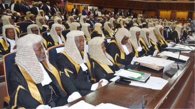 Ajulo, Falana’s wife, Afe Babalola’s daughter others make SAN’s list 1 images 62