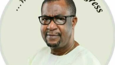 Questions Agunloye failed to answer on Mambilla, By Samuel Kolawole 2 images 80