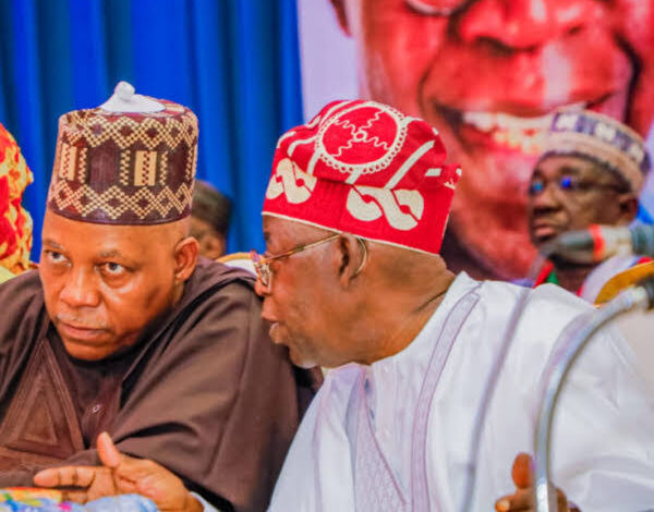 President Tinubu salutes VP Shettima at 57 1 images 9