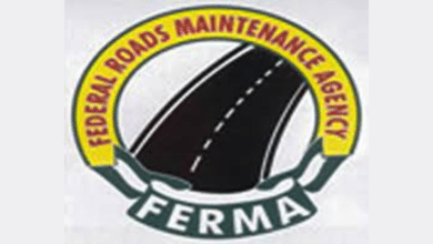 Tinubu appoints new board, management for FERMA 48 image 5