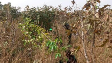 Farmers join troops to fight bandits in Kaduna 9 20231104 112421