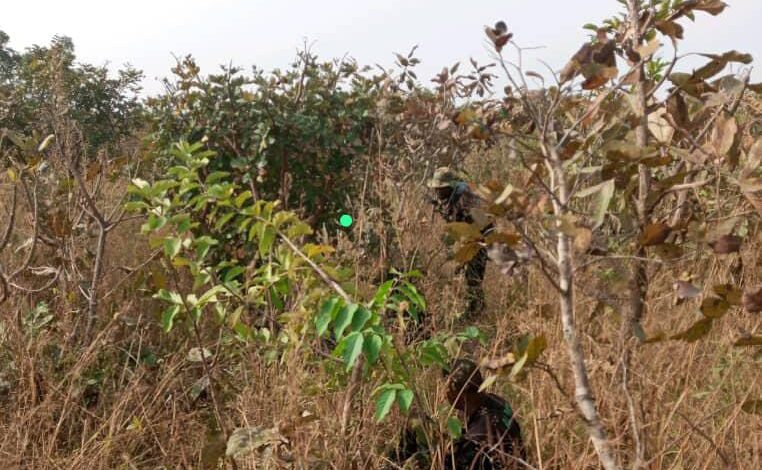 Farmers join troops to fight bandits in Kaduna 5 20231104 112421