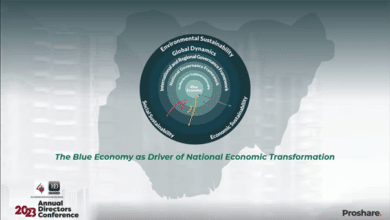 How blue economy governance architecture will drive economic transformation in Nigeria, By Olufemi Awoyemi 1 5d454070 5c44 4366 9235 a7485f1d3e56