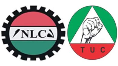 A Tortoise story for labour, By Kayode Komolafe 10 FB IMG 1699974806033