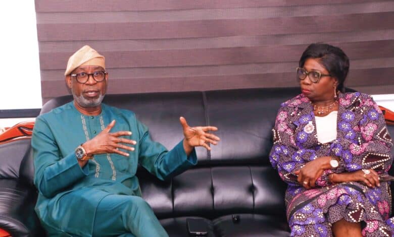 Nigerians in diaspora investors, crucial partners for solid minerals development - Alake 23 IMG 20231114 WA0030