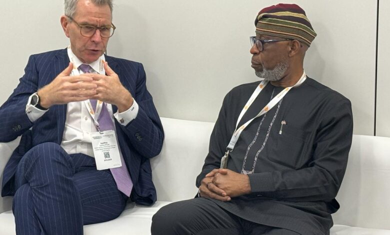 FG, US hold talks on funding mining projects in Nigeria 1 IMG 20231129 WA0028