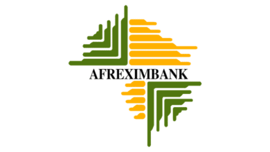 Afreximbank earmarks $1bn for Continental Transit Guarantee Scheme 6 images 4
