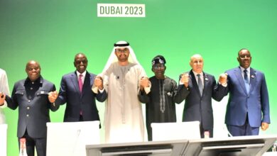 COP28: Nigeria's positive takeaways, By Tunde Rahman 10 IMG 20231203 WA0009