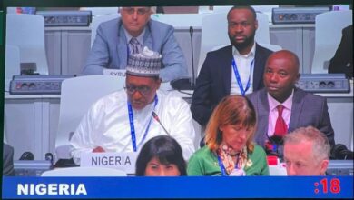 COP28: '40 per cent of PHCs in Nigeria lack access to electricity' 3 IMG 20231204 WA0004