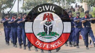 NSCDC arrests seven suspects over alleged energy theft/meter tampering in Kwara 12 images 2023 12 06T201000.581