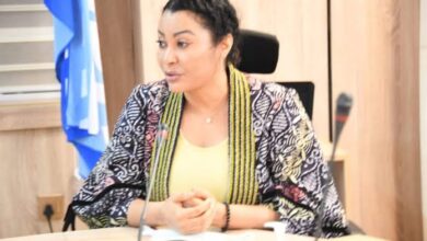 Industry ministry denies budgeting N1bn for foreign trip to Geneva 16 images 2023 12 14T064345.589