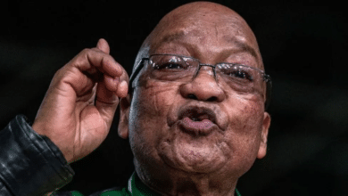 South Africa: ANC suspends ex-President Jacob Zuma after rival party launch 4 image 22