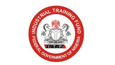 Tinubu orders ITF to train 20 million local artisans for exportation across Nigeria 2 images 2024 01 10T182034.040