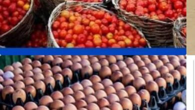 Court orders FG to fix price of goods, petroleum products within 7 days 11 IMG 20240207 WA0223