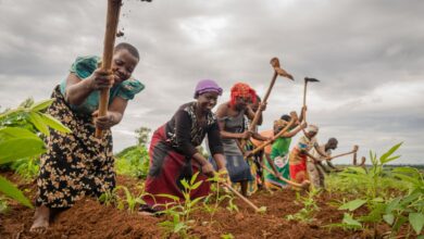 Ogun:1000 women farmers benefit from HortiNigeria/SWAVFS empowerment initiative 15 IMG 20210312 111515