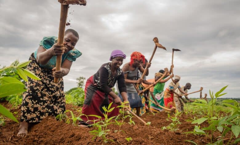 Ogun:1000 women farmers benefit from HortiNigeria/SWAVFS empowerment initiative 1 IMG 20210312 111515