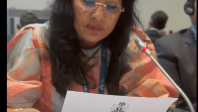 VIDEO: WTO IFD Agreement to complement Nigeria’s ongoing reforms towards unlocking opportunities, says Minister of Industry 6 MINSTER