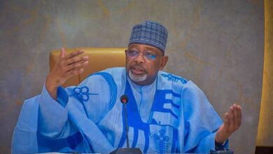 Federal Ministry of Agriculture gives update on poisoned animals at Ilorin Market 6 Minister 1