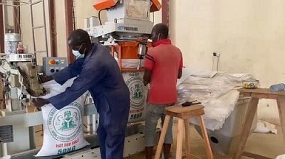 Ministry of Agric bagging of grains