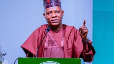 Shettima to launch Outsource To Nigeria Initiative in Gombe 1 vp shettima