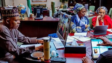 National Economic Council's initiatives on food security 10 Kashim Shettima