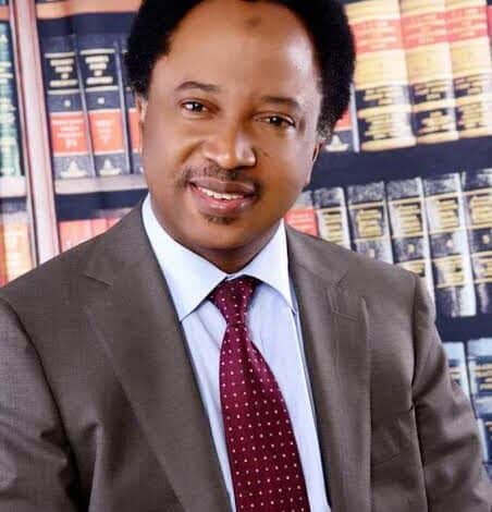 State police in Nigeria is just a mirage, says Shehu Sani 1 sani