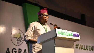 Nigerian Female agripreneurs to win $300,000 grants at 2024 WAYA Awards 3 Azubike Nwokoye Chairman of National Gender Steering Committee
