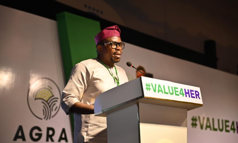 Nigerian Female agripreneurs to win $300,000 grants at 2024 WAYA Awards 3 Azubike Nwokoye Chairman of National Gender Steering Committee