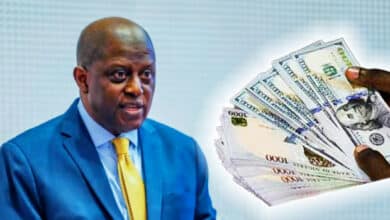 CBN Governor