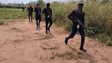 Security issues warrant for ESN members, families 11 E 1