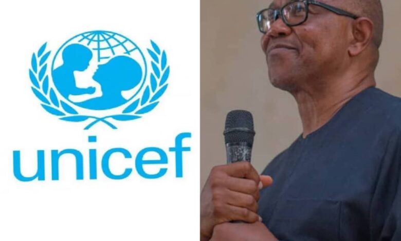 UNICEF Report: Many Nigerians now spend more on food supplies- Obi 1 IMG 20240313 WA0177